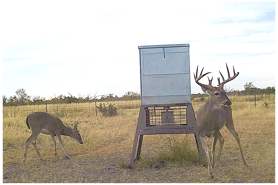 2021 Management photos